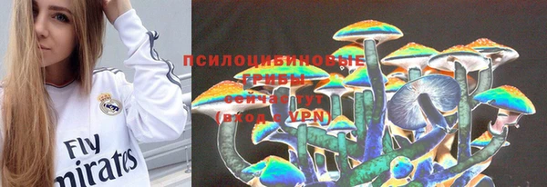 apvp Алзамай