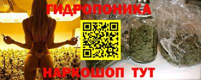 круглые Лесосибирск