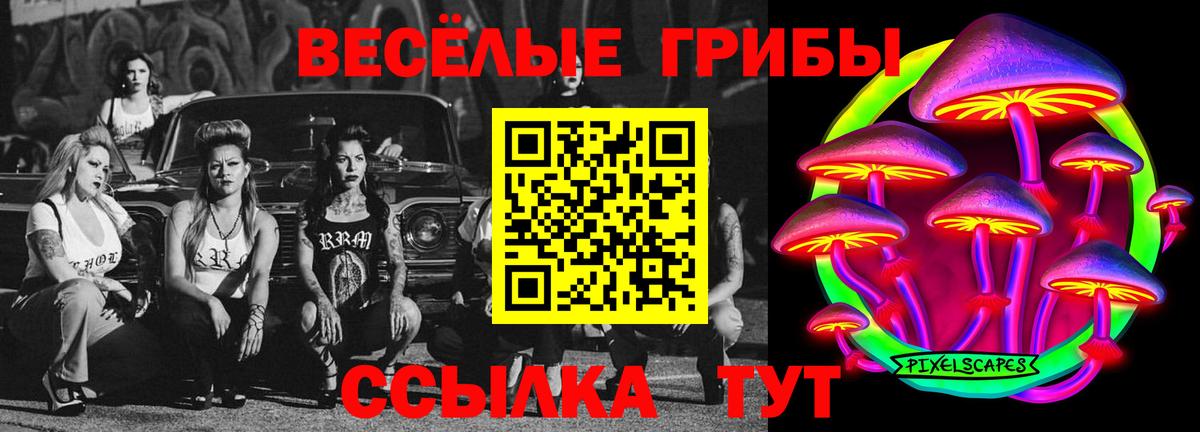 Кольчугино  продажа наркотиков  Вход с VPN  Галлюциногенные грибы Magic Shrooms 